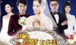 因为爱情有多美电视剧全集在线观看,重温经典爱情故事，感受真挚情感共鸣